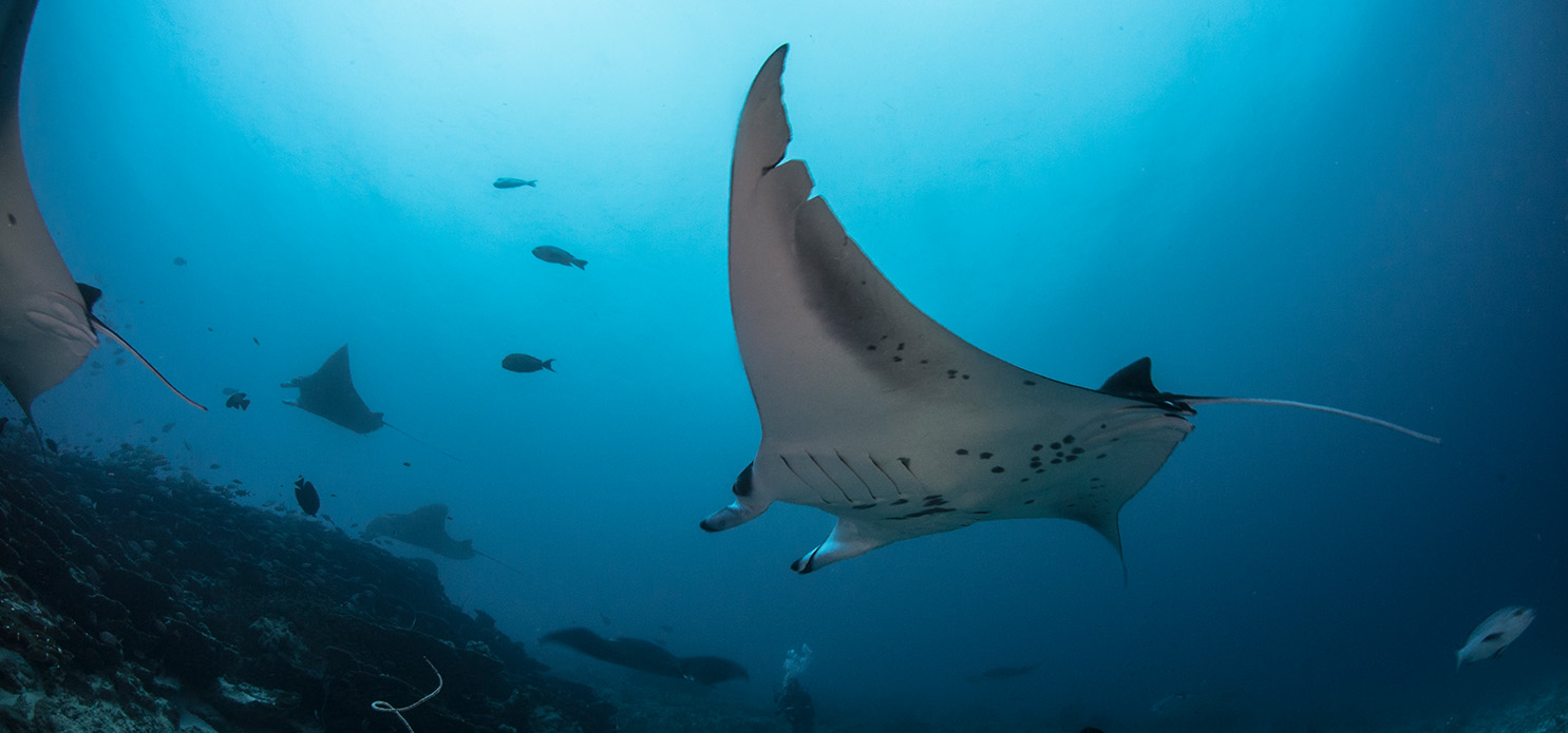 Discover the Living History of Addu Atoll